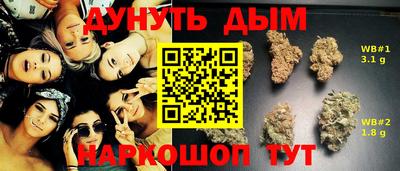 молекула духа Жуковский
