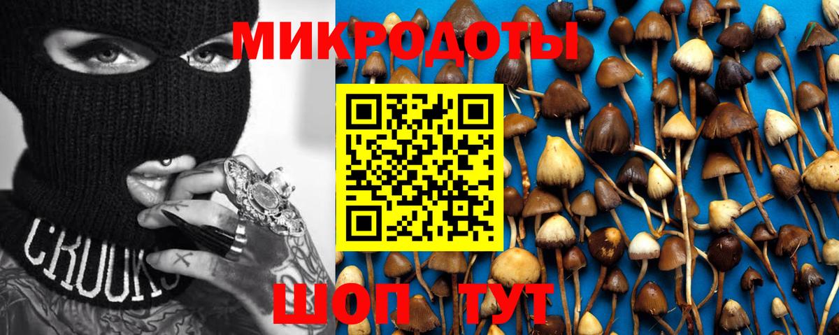 Галлюциногенные грибы MAGIC MUSHROOMS Дербент