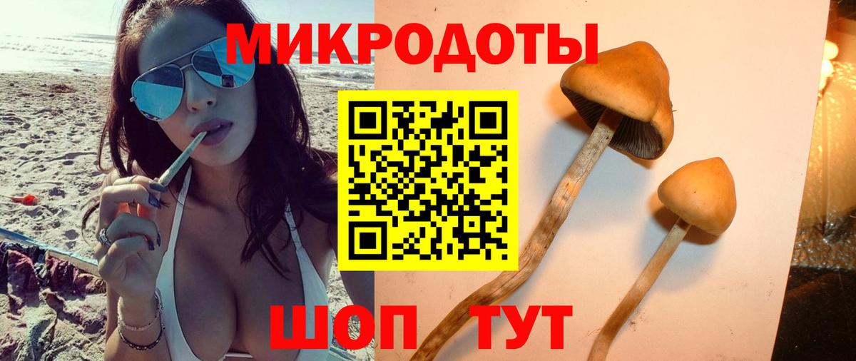 Канабис Дербент